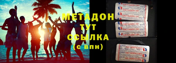 прущие грибы Богданович