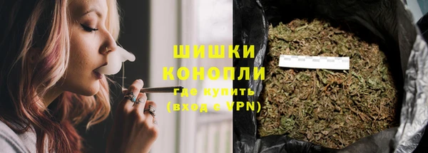 прущие грибы Богданович