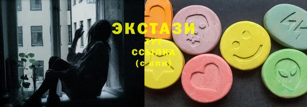 дмт Богородск