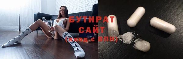 прущие грибы Богданович