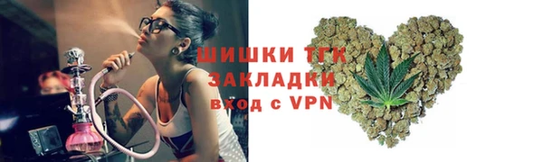 прущие грибы Богданович