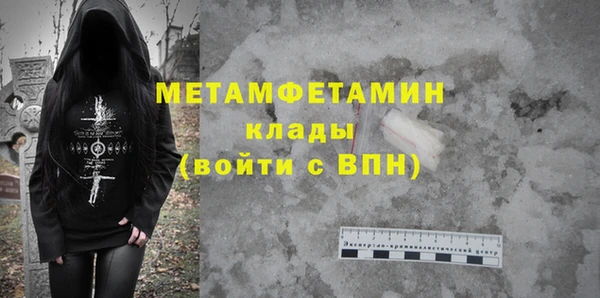 прущие грибы Богданович