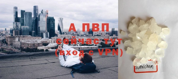 дмт Богородск